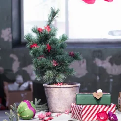 Blomsterlera 2 kg