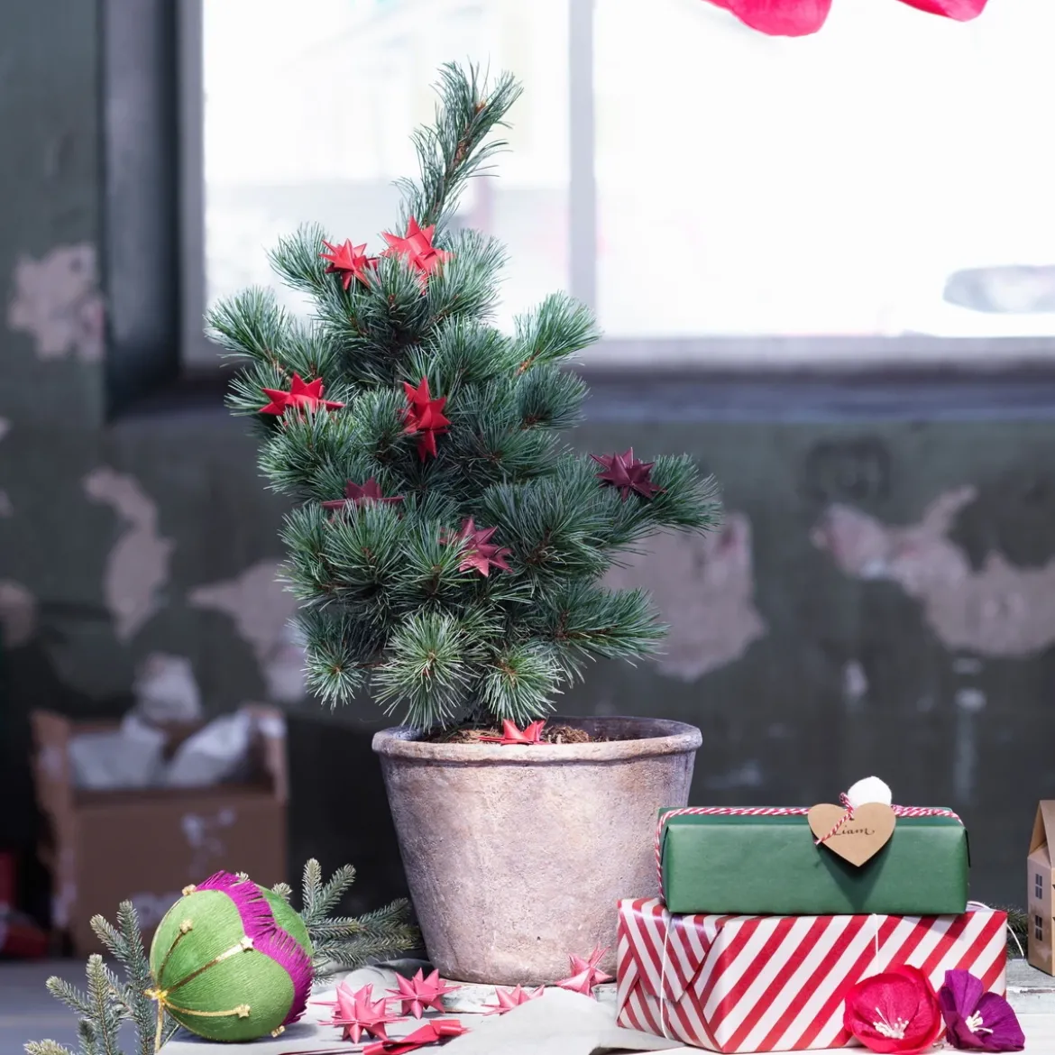 Blomsterlera 2 kg