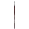 College 8730 Round Brush 4