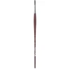 College 8730 Round Brush 10