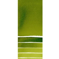 Daniel Smith akvarellfärg 15 ml Sap Green