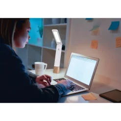 Daylight Smart Go Rechargable Lamp, nätt uppladdningsbar lampa