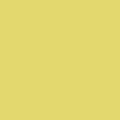 Faber-Castell Colour Grip 2001 Lemon Yellow