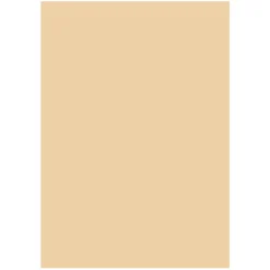 Folia A4 300g Beige 10 st