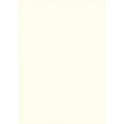 Folia A4 300g Pärlvit 10 st