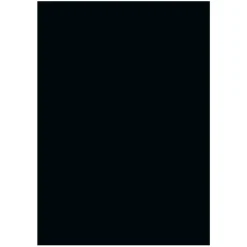 Folia A4 170g Svart 10-pack