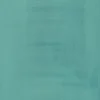 Liquitex Professional Acrylic Ink 30 ml – Turquoise 287