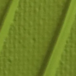 Pebeo Origin Acrylics akrylfärg 120 ml Olive light green 26