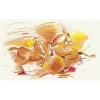 Polychromos Schatull 120 st