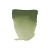 Rembrandt akvarellfärg halvkopp – Chromium Oxide Green 668