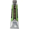 Rembrandt oljefärg 40 ml Permanent Green Medium - 614