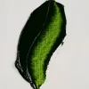 Rembrandt oljefärg 40 ml Sap Green - 623