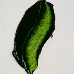 Rembrandt oljefärg 40 ml Sap Green - 623