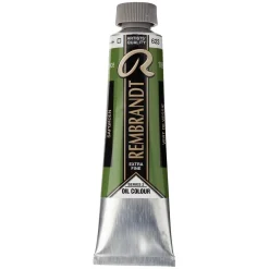 Rembrandt oljefärg 40 ml Sap Green - 623