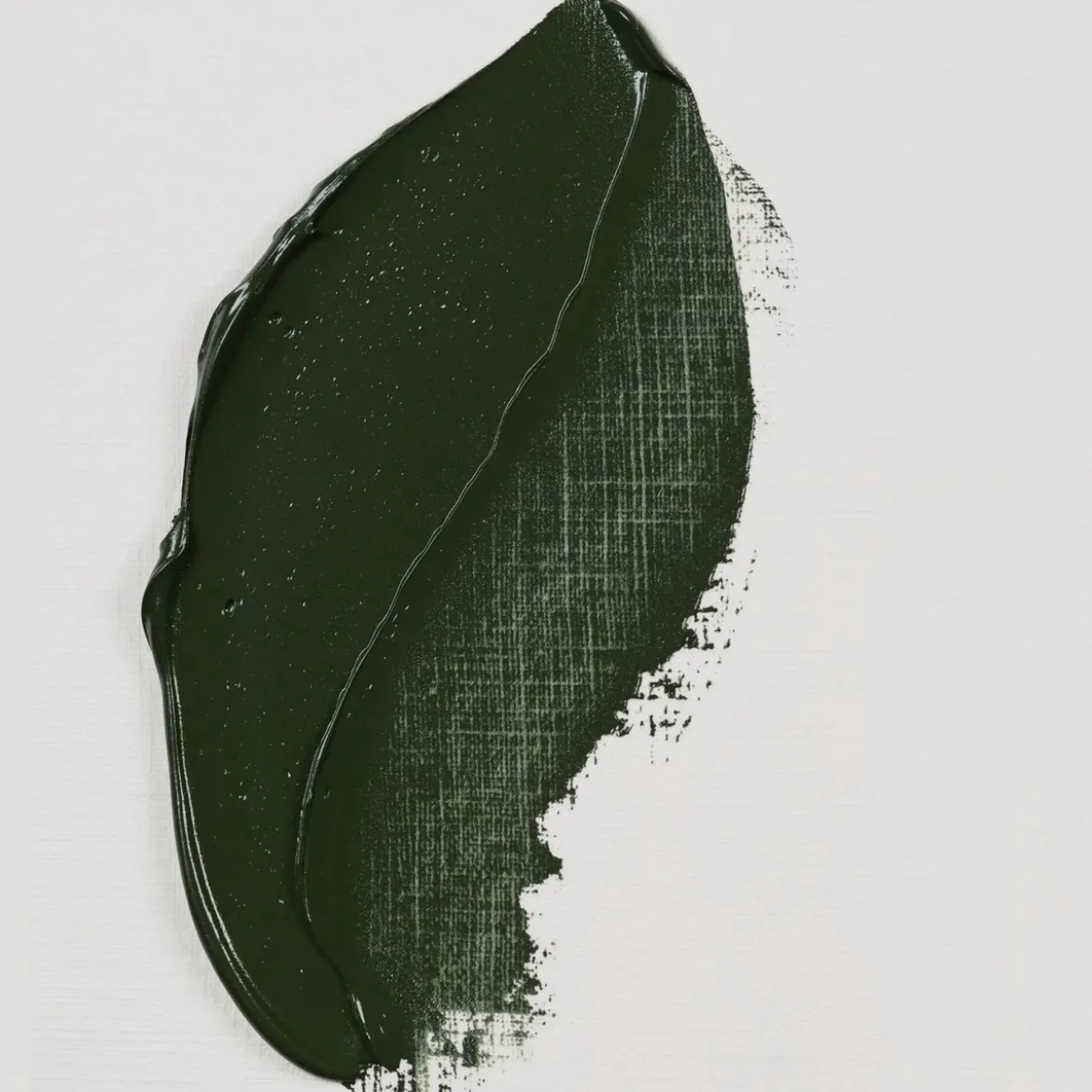 Rembrandt oljefärg 40 ml Terre Verte - 629
