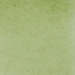 Schmincke Horadam akvarellfärg 5 ml – Green earth 516