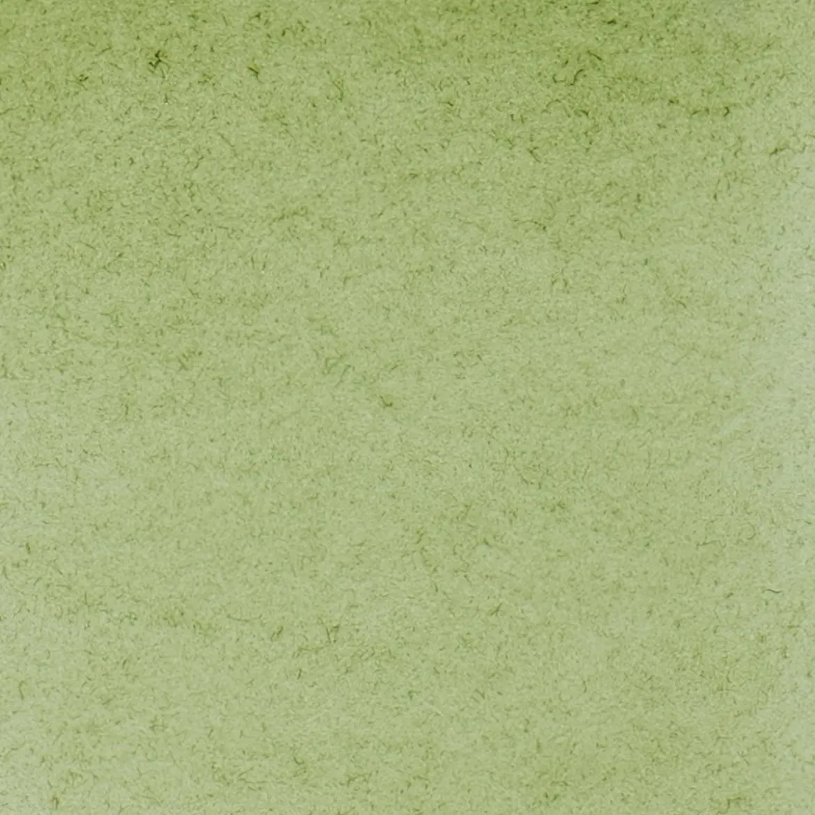 Schmincke Horadam akvarellfärg 5 ml – Green earth 516