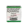 Schmincke Horadam akvarellfärg ½ kopp – Sap green 530