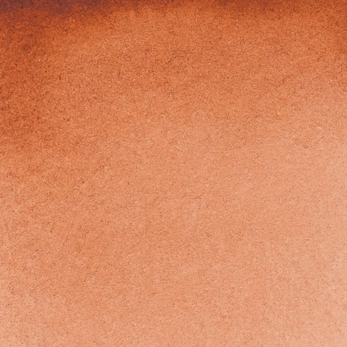 Schmincke Horadam akvarellfärg 5 ml – Burnt sienna 661