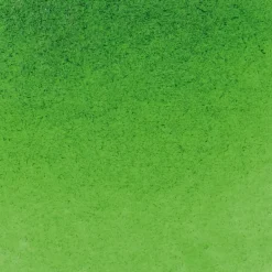Schmincke Horadam akvarellfärg 5 ml – Sap green 530