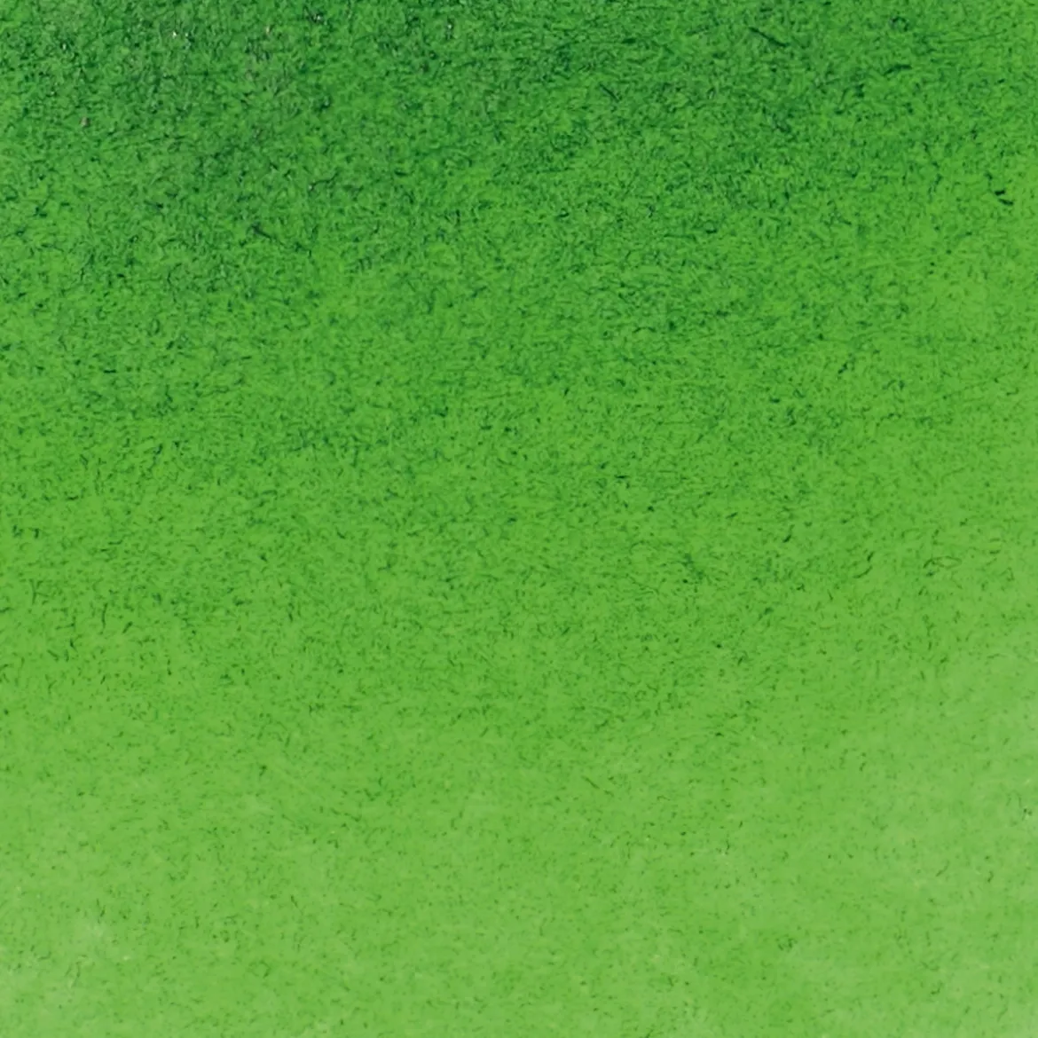 Schmincke Horadam akvarellfärg 5 ml – Sap green 530