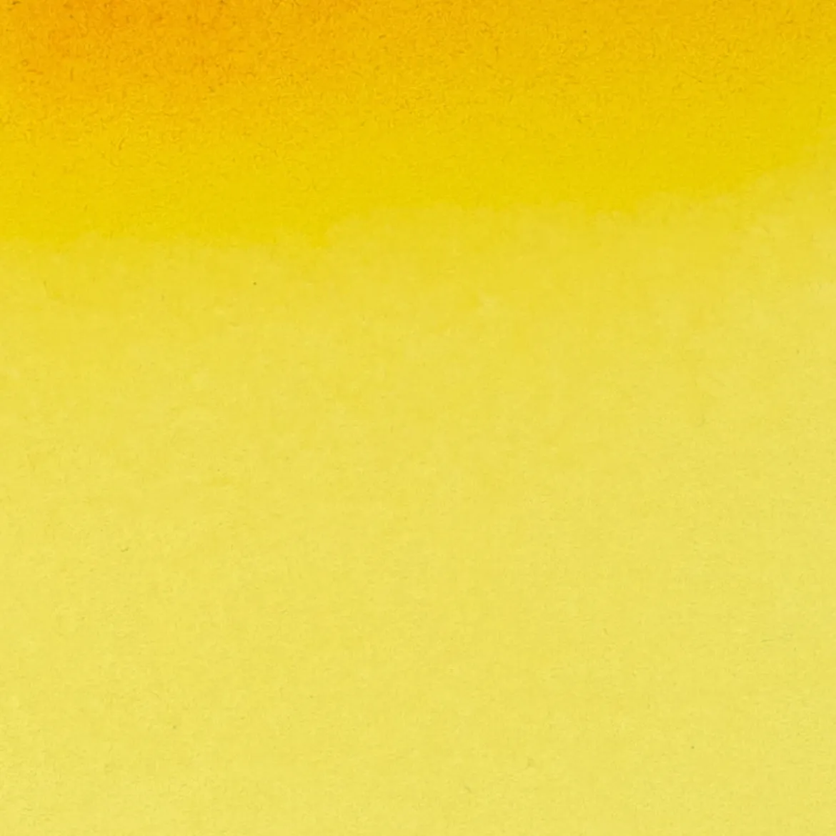 Schmincke Horadam akvarellfärg 5 ml – Chromium yellow hue light 212