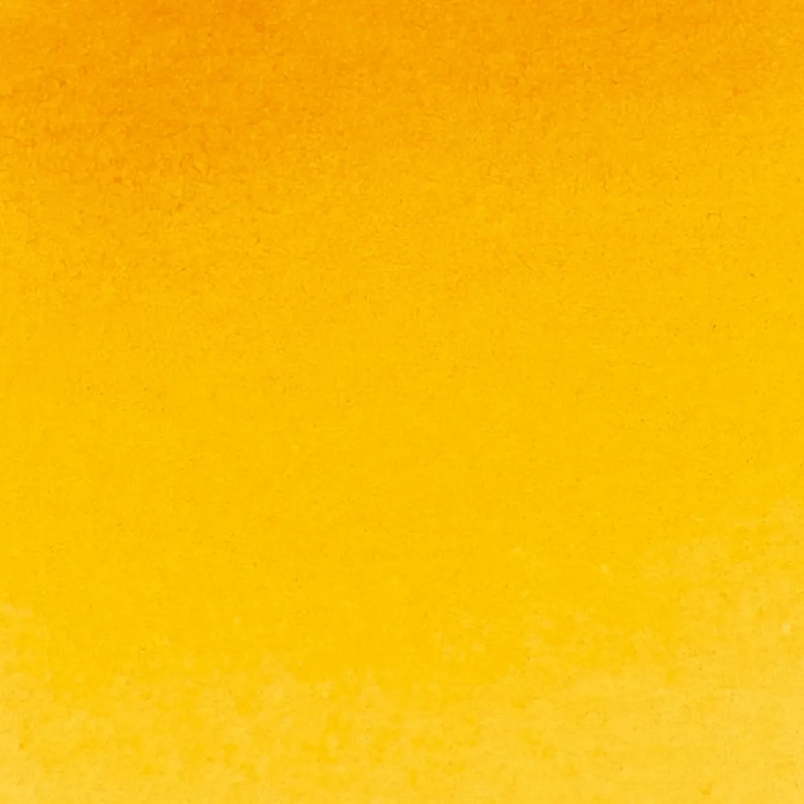 Schmincke Horadam akvarellfärg 5 ml – Indian yellow 220