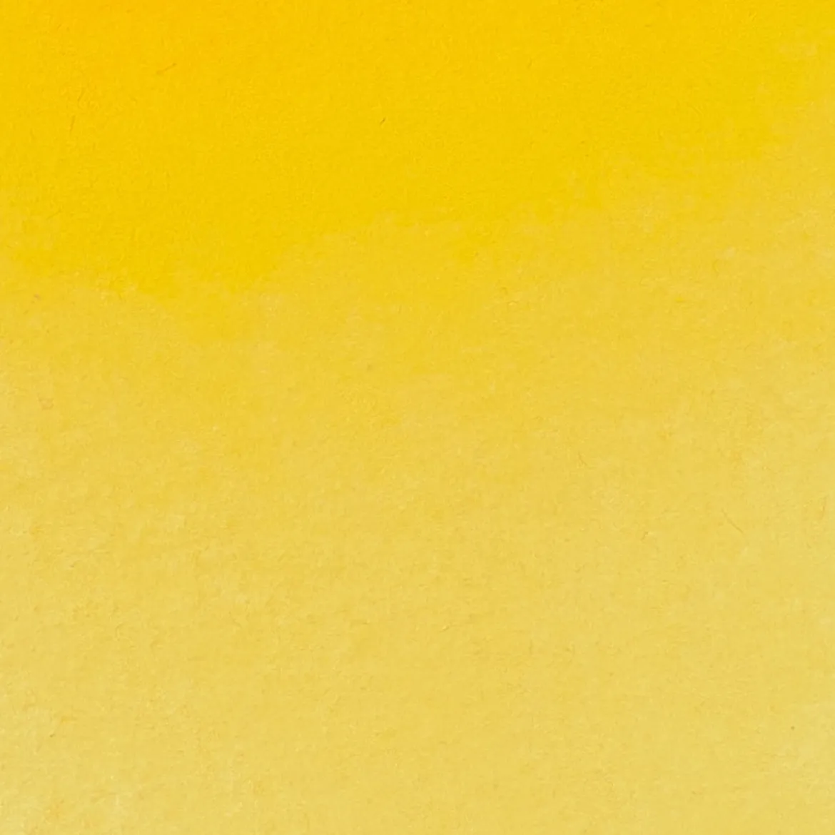 Schmincke Horadam akvarellfärg 5 ml – Cadmium yellow deep 226