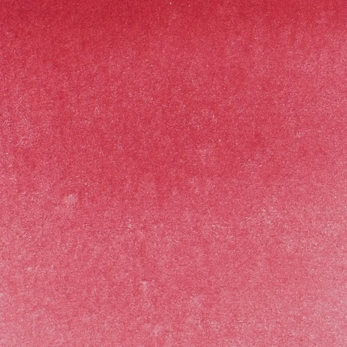 Schmincke Horadam akvarellfärg 5 ml – Perylene maroon 366