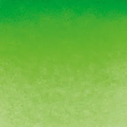 Schmincke Horadam akvarellfärg 5 ml – Permanent green 526