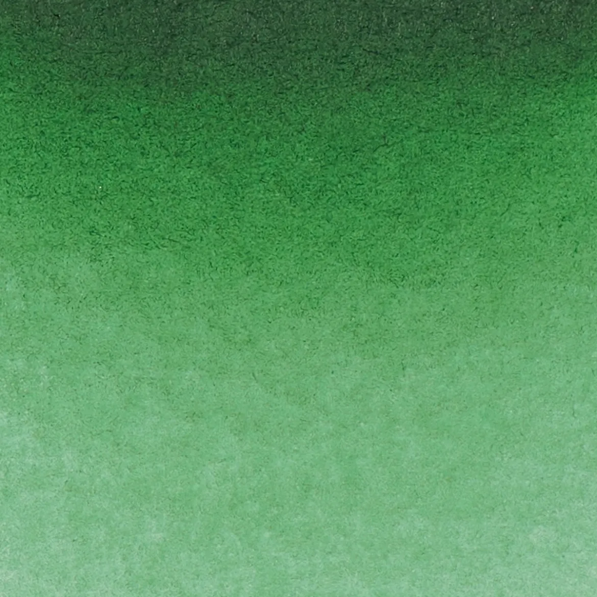 Schmincke Horadam akvarellfärg 5 ml – Permanent green olive 534