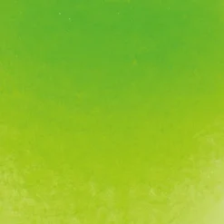 Schmincke Horadam akvarellfärg ½ kopp – May green 524