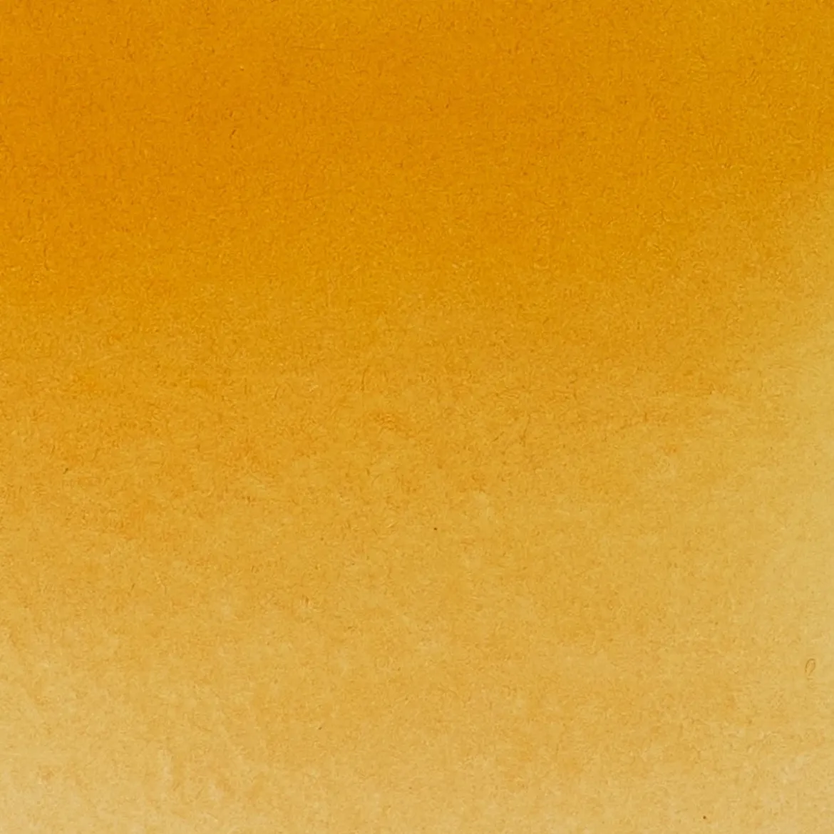 Schmincke Horadam akvarellfärg ½ kopp – Titanium gold ochre 659
