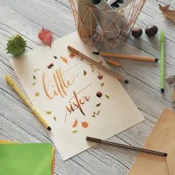 Stabilo Pen 68/65 umber