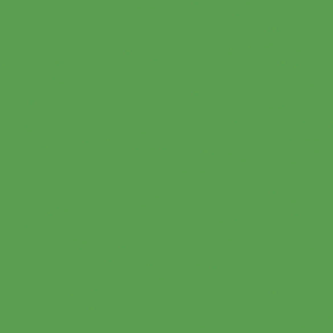 Stabilo point 88/36 green