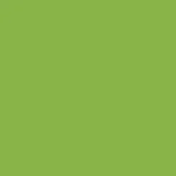 Stabilo point 88/43 lgt green