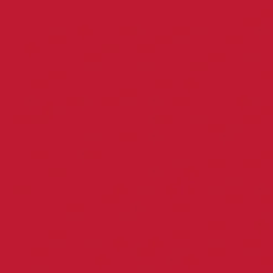 Stabilo point 88/40 red