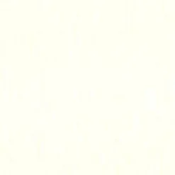 V Gogh olja 40ml Zinc white