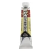 Water col 20ml Burnt sienna