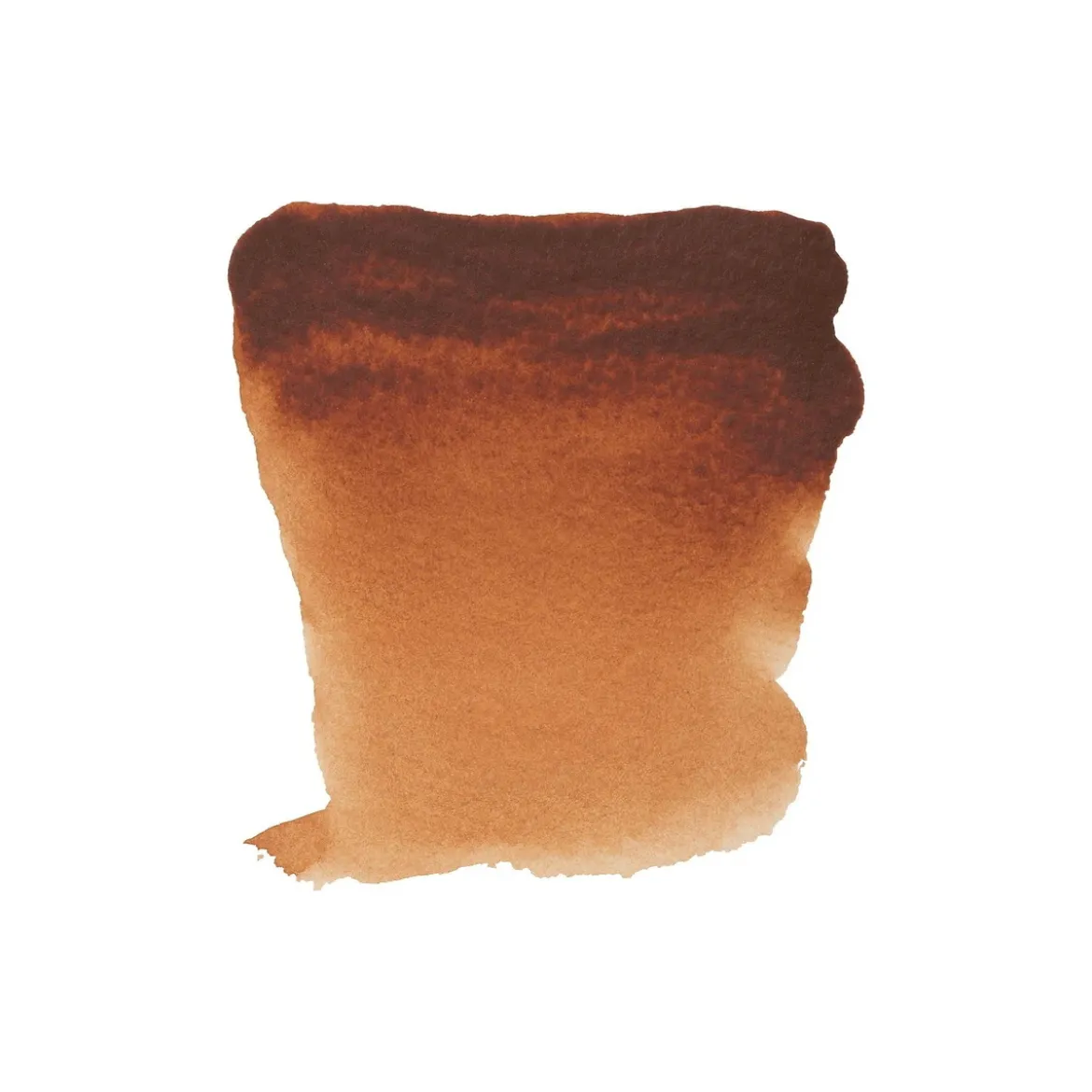 Water col 20ml Burnt sienna