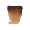 Water col 20ml Burnt umber