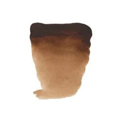 Water col 20ml Burnt umber
