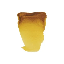 Water col 20ml Gamboge