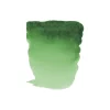 Water col 20ml Permanent green