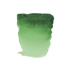 Water col 20ml Permanent green