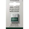 Winsor & Newton Professional akvarellfärg halvkopp Perylene Green 460
