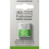 Winsor & Newton Professional akvarellfärg halvkopp Permanent Sap Green 503