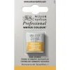 Winsor & Newton Professional akvarellfärg halvkopp Raw Umber 554