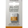 Winsor & Newton Professional akvarellfärg halvkopp Burnt Umber 076