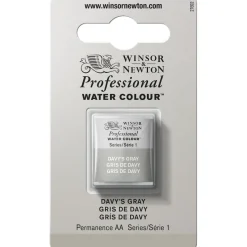 Winsor & Newton Professional akvarellfärg halvkopp Davy´S Grey 217